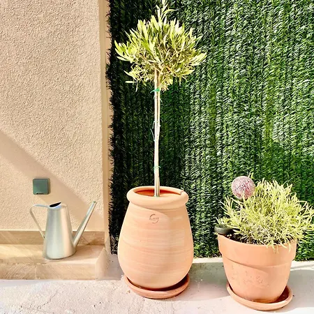 Apartment Le Petit - 4 Studios, 2 With Private Terrace - Centre Nizza