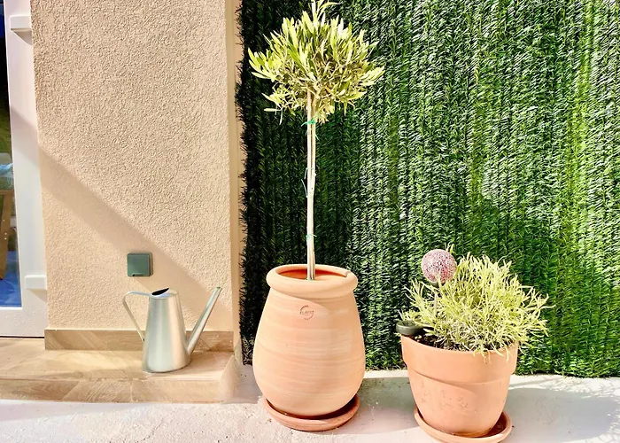 Appartement Le Petit - 2 & 2 Terrasse Nice